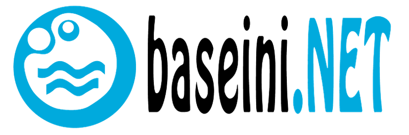 Logo Baseini.NET