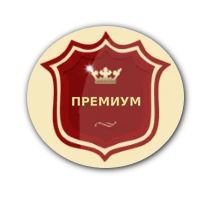 Пакет PREMIUM для бассейна Ibiza 2 DL