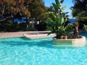Rustic coping stone around a pool with an island