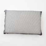 Filter insert for Azuro Warrior robot