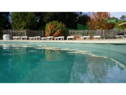 Piscină cu apă verzuie și gard din lemn cu șezlonguri într-o grădină