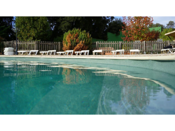 Piscină cu apă verzuie și gard din lemn cu șezlonguri într-o grădină