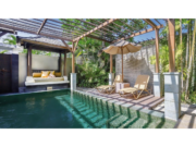 Piscină cu apă verde închis lângă un foișor tropical și șezlonguri