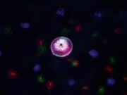 Плаващо LED осветление за басейн